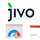 JivoSite: оптимизированное подключение под Google PageSpeed -  