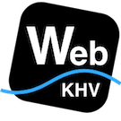 WebKHV: Модуль корректировки Честного Знака -  