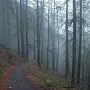 Xpage — Доставка -  
