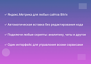 Установка Я.Метрика и любых других скриптов -  
