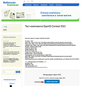 Интеграция с OpenID connect provider (SSO). Авторизация -  