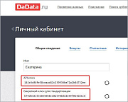 Связь с сервисом dadata.ru -  