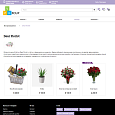Pvgroup.Flower - Интернет магазин цветов, комнатных растений Начиная со Старта с конструктором 60152 - Готовые интернет-магазины