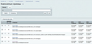 INRAISE: Композит для страниц умного фильтра и SEO-модулей -  