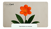 CleanCard — массовое автоудаление фона с изображений -  