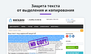 Защита контента сайта от копирования 2.0 (защита текста и картинок, защита страницы от печати) -  