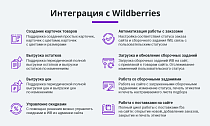 Комплект: Интеграции с маркетплейсами Ozon и Wildberries по API -  