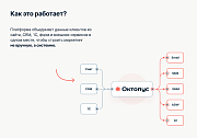 Октопус CDP: автоматизация маркетинга -  