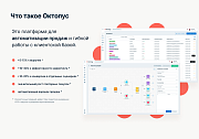 Октопус CDP: автоматизация маркетинга -  
