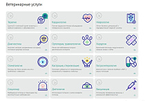 ZEBRA.VET – Ветеринарная клиника - Готовые сайты