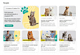 ZEBRA.VET – Ветеринарная клиника - Готовые сайты